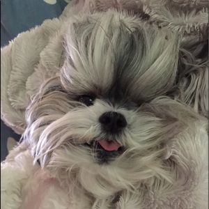 Meet your Posher, Pamela